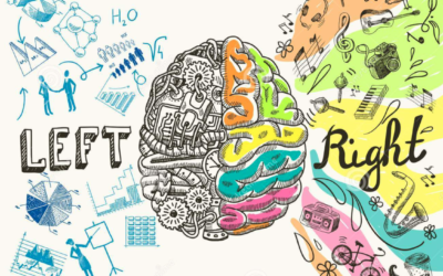 NUEVO CURSO DE KINESIOLOGÍA HOLÍSTICA AVANZADA